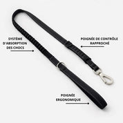 AnimaFlex™ - La laisse qui absorbe les à-coups à votre place