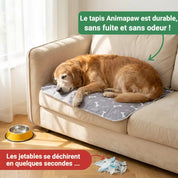 Tapis absorbant réutilisable : de la dignité pour lui, de la tranquilité pour vous