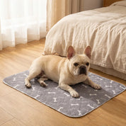 Tapis absorbant réutilisable : de la dignité pour lui, de la tranquilité pour vous