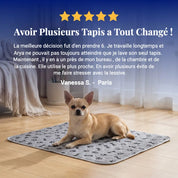 Tapis absorbant réutilisable : de la dignité pour lui, de la tranquilité pour vous