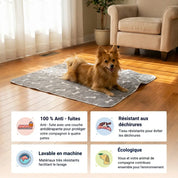 Tapis absorbant réutilisable : de la dignité pour lui, de la tranquilité pour vous