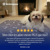 Tapis absorbant réutilisable : de la dignité pour lui, de la tranquilité pour vous