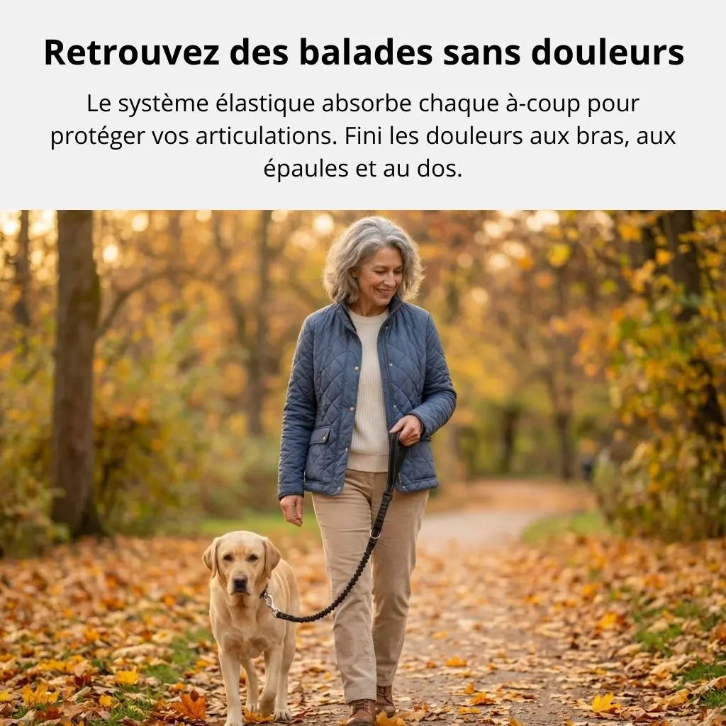 AnimaFlex™ - La laisse qui absorbe les à-coups à votre place