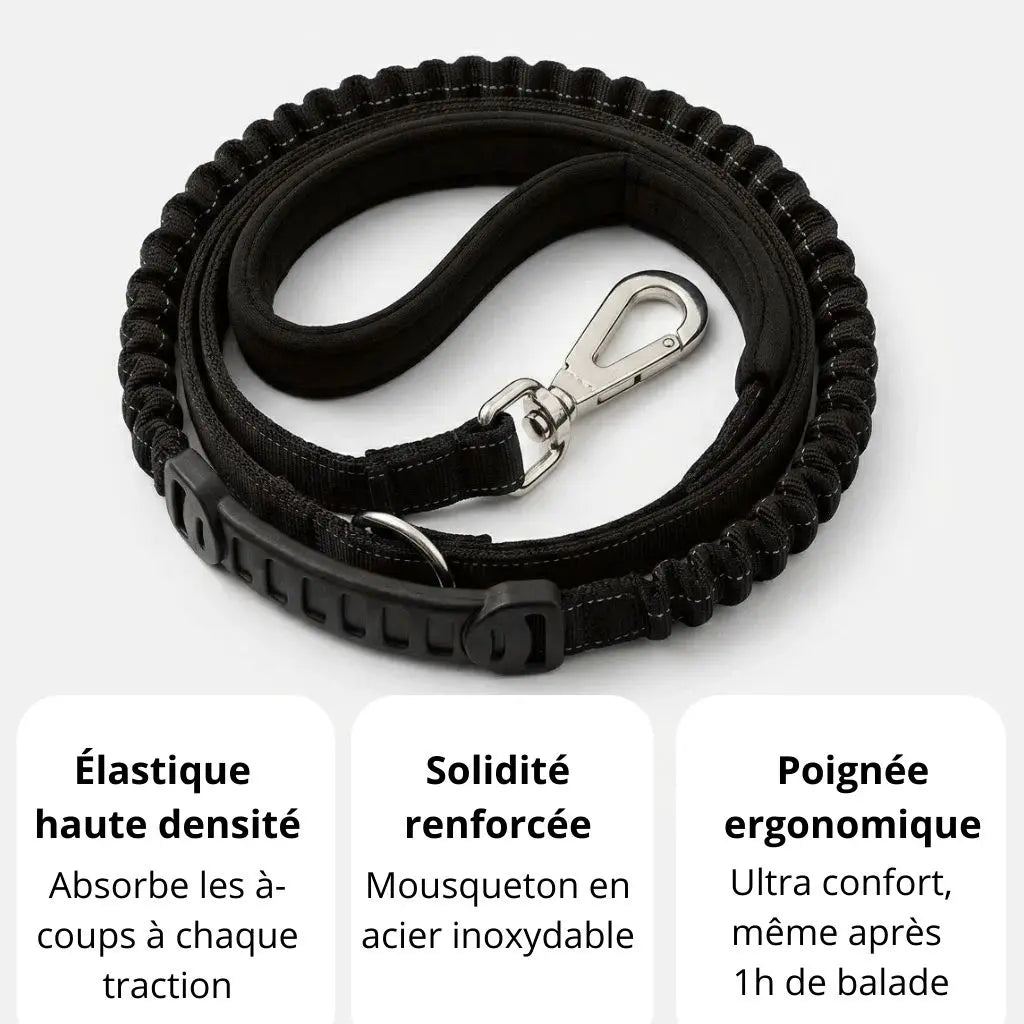 AnimaFlex™ - La laisse qui absorbe les à-coups à votre place