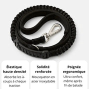 AnimaFlex™ - La laisse qui absorbe les à-coups à votre place