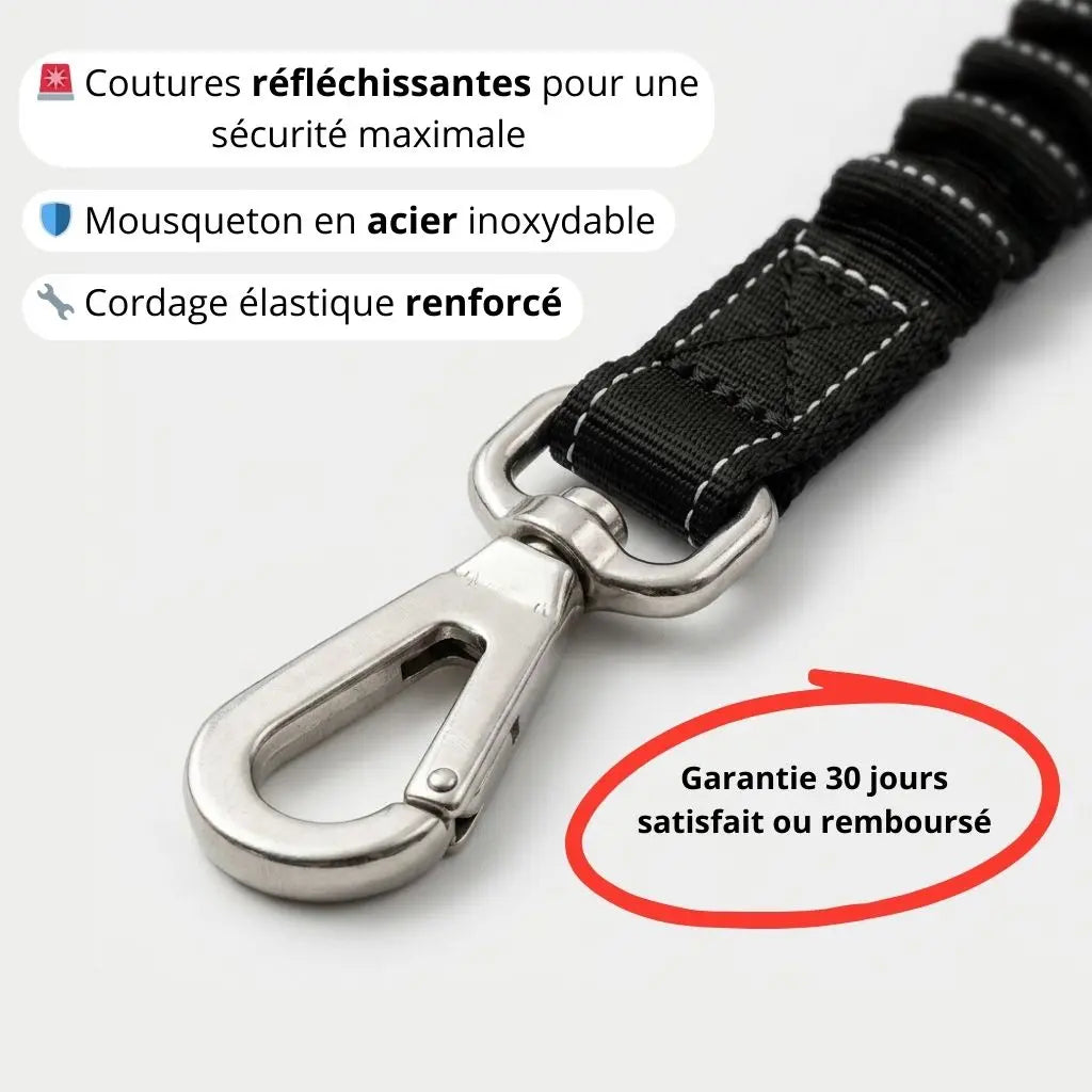 AnimaFlex™ - La laisse qui absorbe les à-coups à votre place