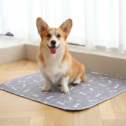 Tapis absorbant réutilisable : de la dignité pour lui, de la tranquilité pour vous