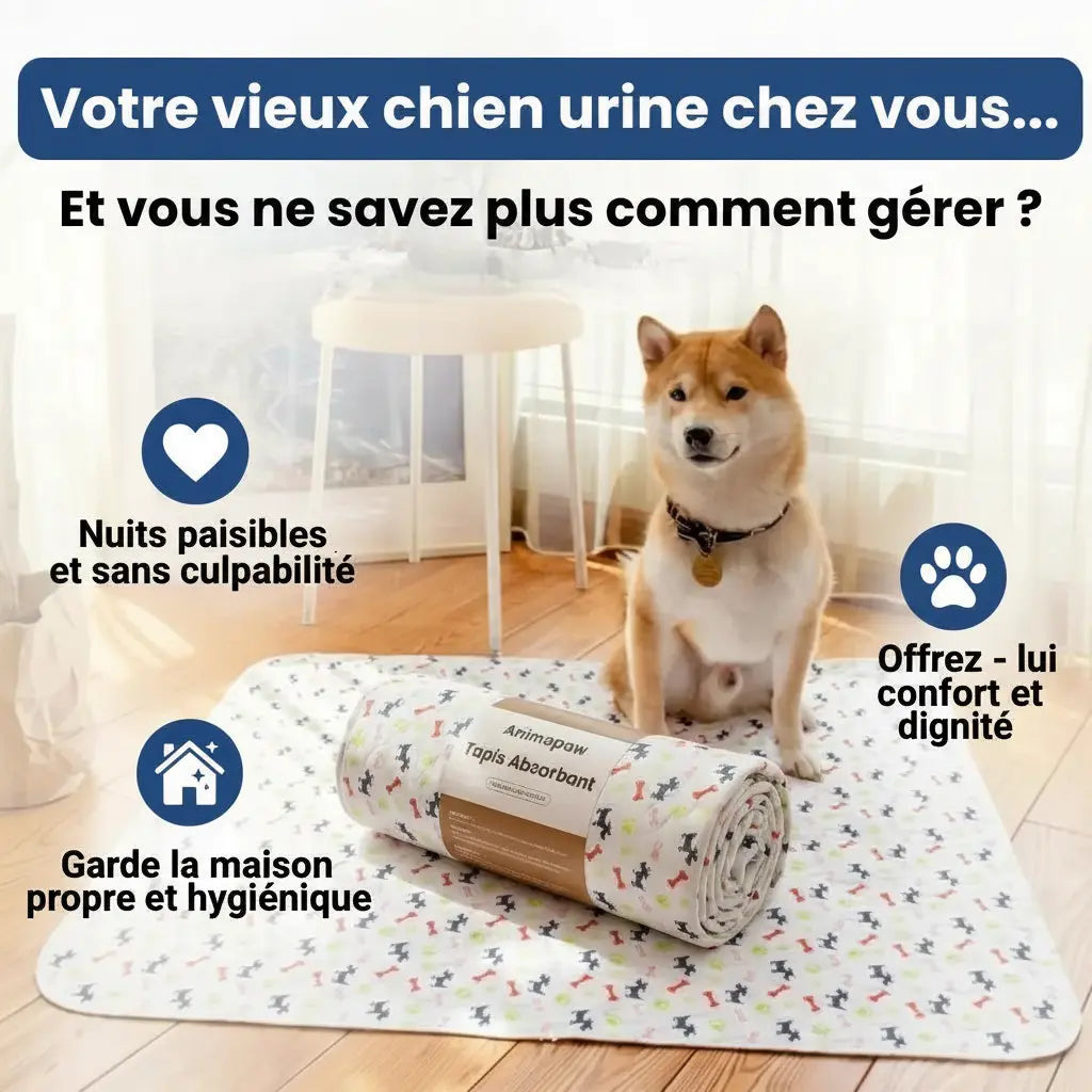 Tapis absorbant réutilisable : de la dignité pour lui, de la tranquilité pour vous