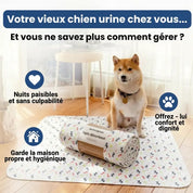 Tapis absorbant réutilisable : de la dignité pour lui, de la tranquilité pour vous