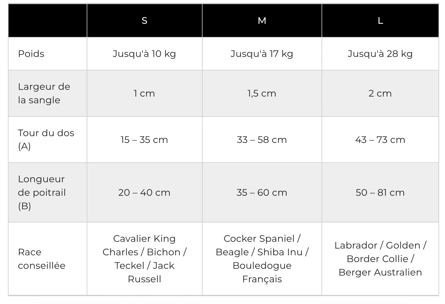 AnimaFlex™ - La laisse qui absorbe les à-coups à votre place