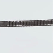 AnimaFlex™ - La laisse qui absorbe les à-coups à votre place